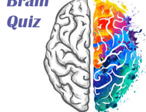 Brain Quiz