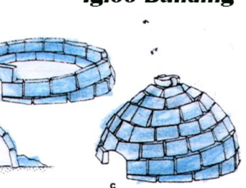 Igloo Building