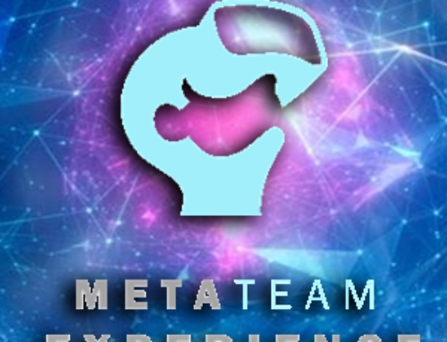 Meta Team Experience